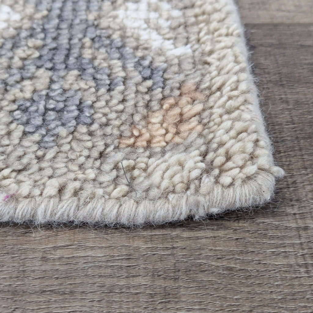 The Citizenry Sarasi Hand Knotted 12 x 9 Area Rug