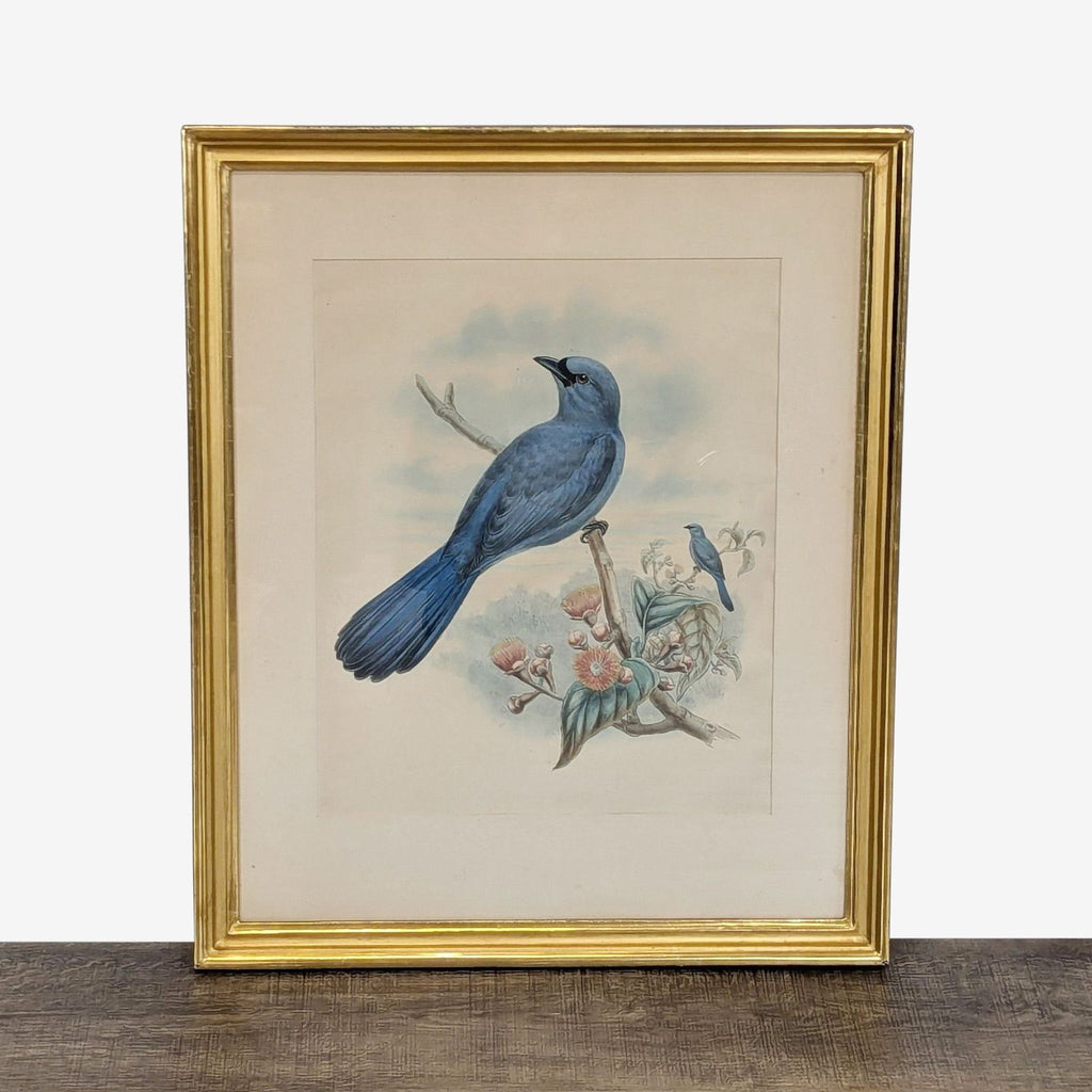 Art print of two blue birds perched on a branch, displayed in a gold Reperch frame.