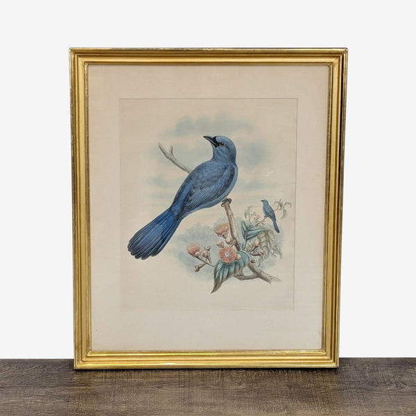 Art print of two blue birds perched on a branch, displayed in a gold Reperch frame.