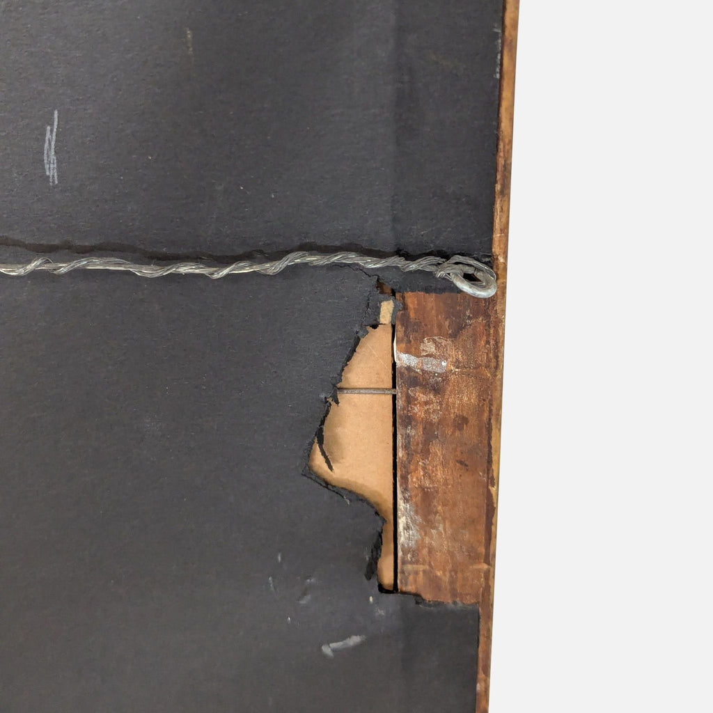 Framed Bird Art Print