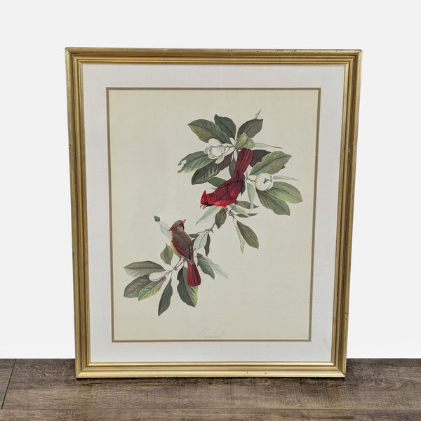 Framed Reperch print of Roger Tory Peterson’s "Cardinal," depicting cardinals on magnolia branches.