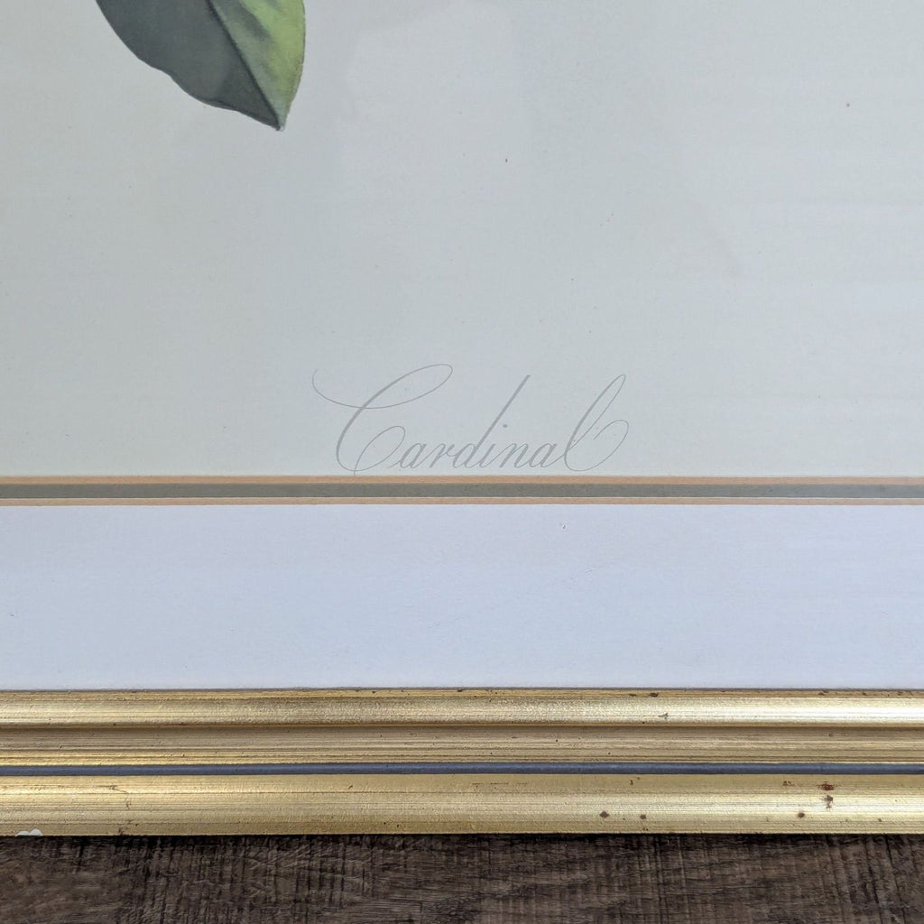 Close-up of the print’s title "Cardinal" in delicate script on the lower border of the artwork.
