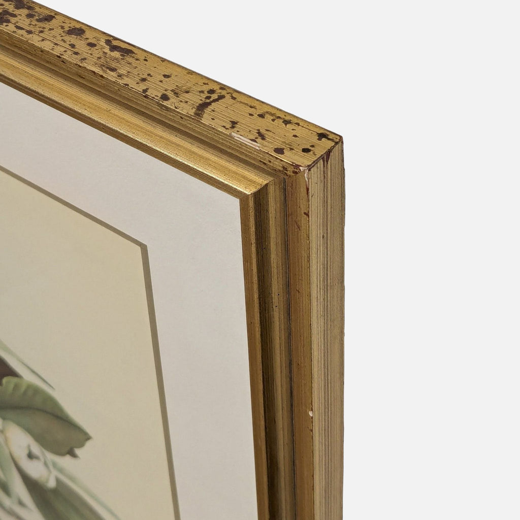 Detailed view of the gold-painted frame corner with visible aging and patina on this Prints & Maps item.