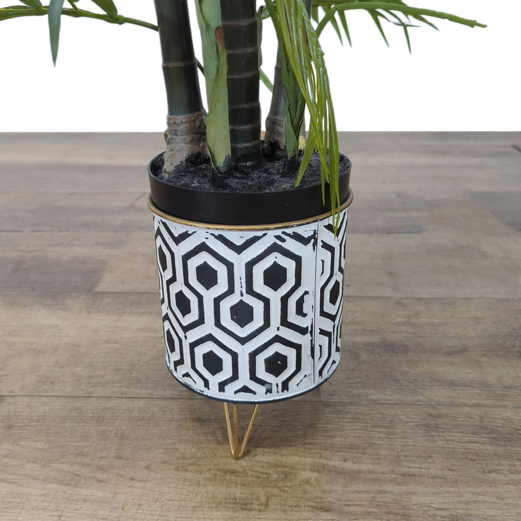 Decorative Reperch plant in a black and white geometric pot with gold stand, displayed on a wooden floor.