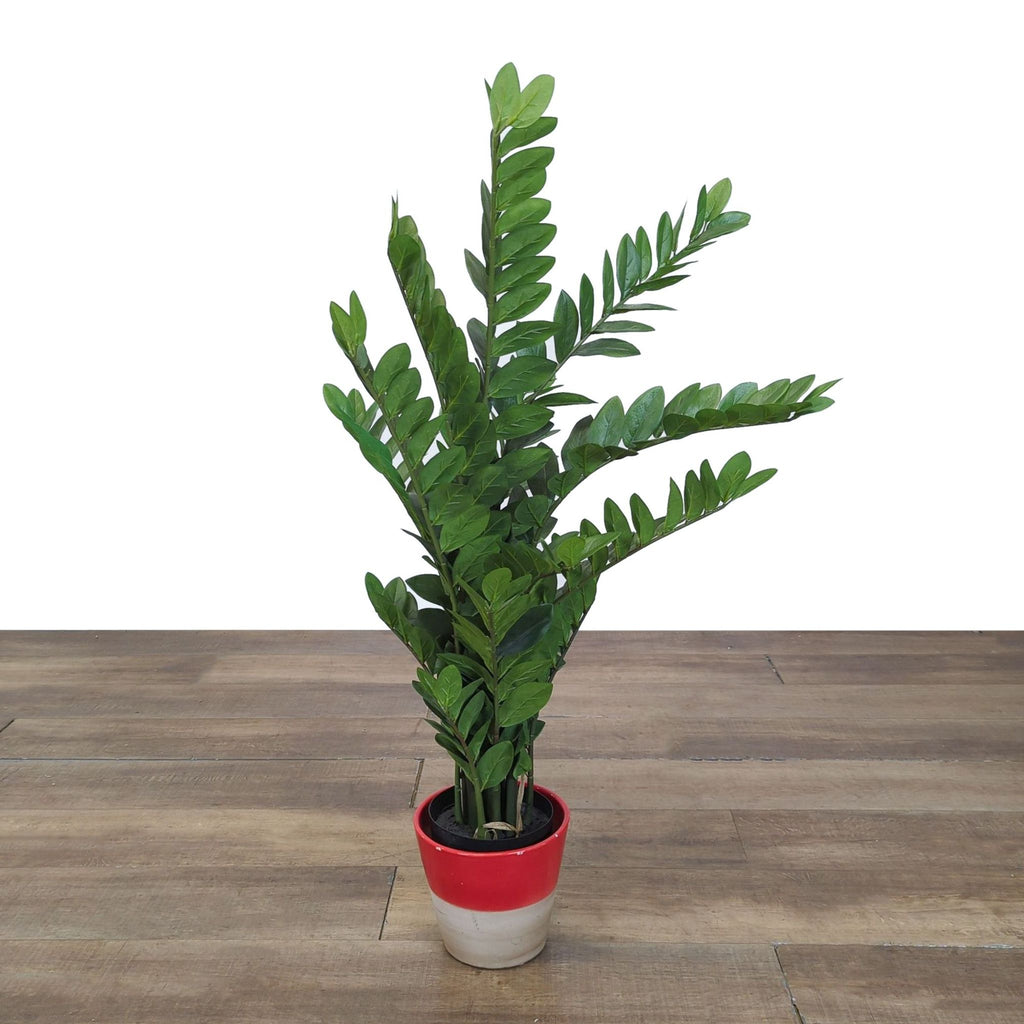 1. Artificial green plant with upright leaves in a two-tone red and white pot by Reperch on a wooden surface.