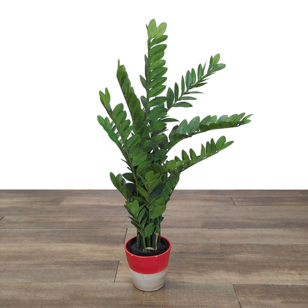 1. Artificial green plant with upright leaves in a two-tone red and white pot by Reperch on a wooden surface.