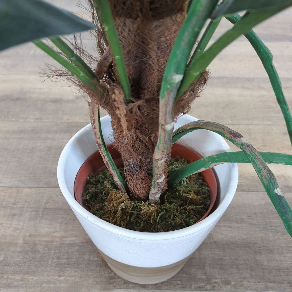 2. Close-up of Reperch artificial plant base, showing textured trunk, green stems, and moss in a white pot.