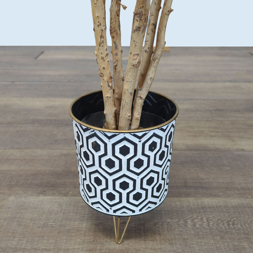 3. Decorative plant base with multiple trunks in a Reperch geometric design pot and metal rim on wood flooring.