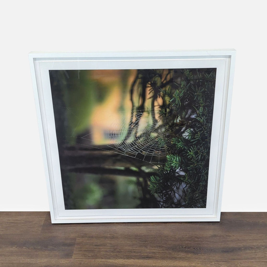2. Framed square print of a spiderweb by Kimberley Carr Harmon, size 36"x36", on a wood floor background.  