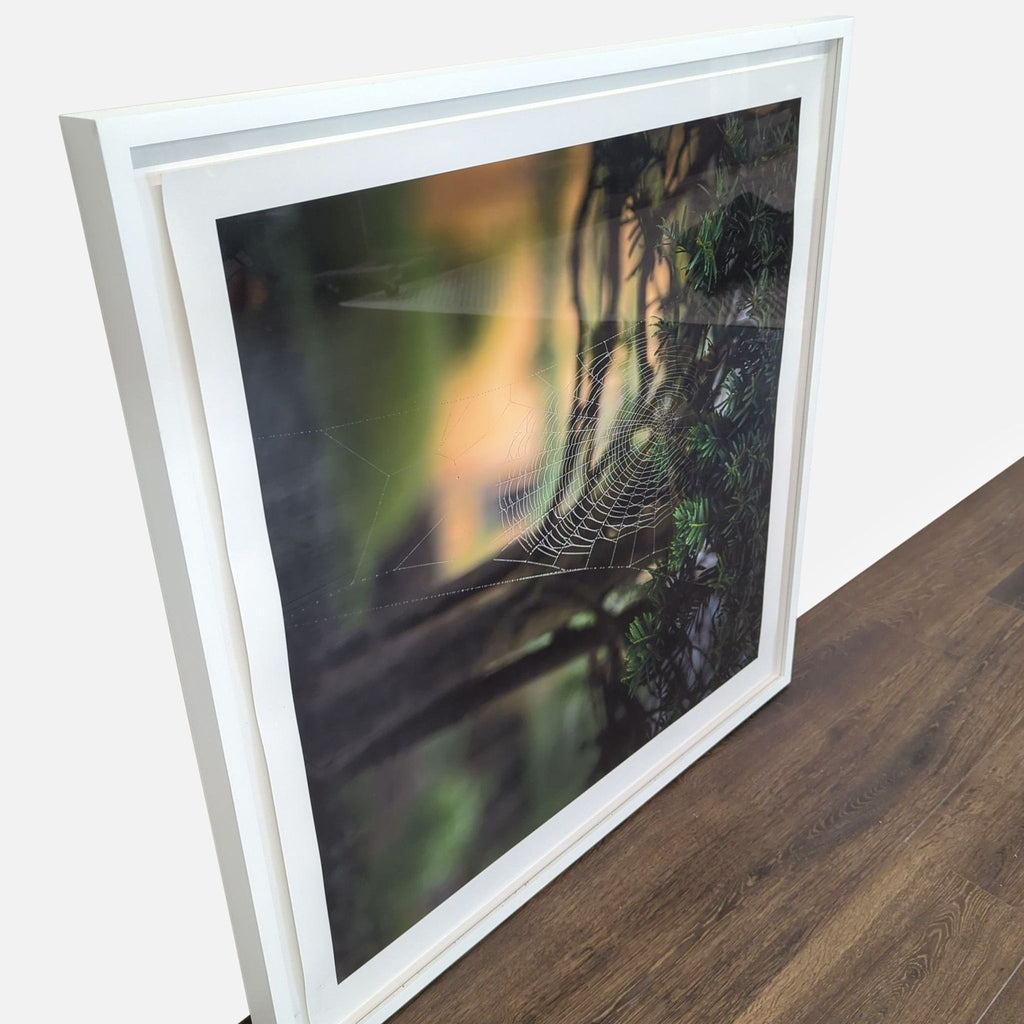 3. Angled view of large framed print featuring greenery and spiderweb, white frame, part of 6x artwork collection.