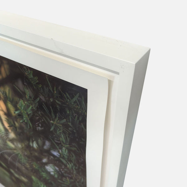 1. Close-up of a framed Kimberley Carr Harmon print showing photo detail and white frame, category: Prints & Maps.  