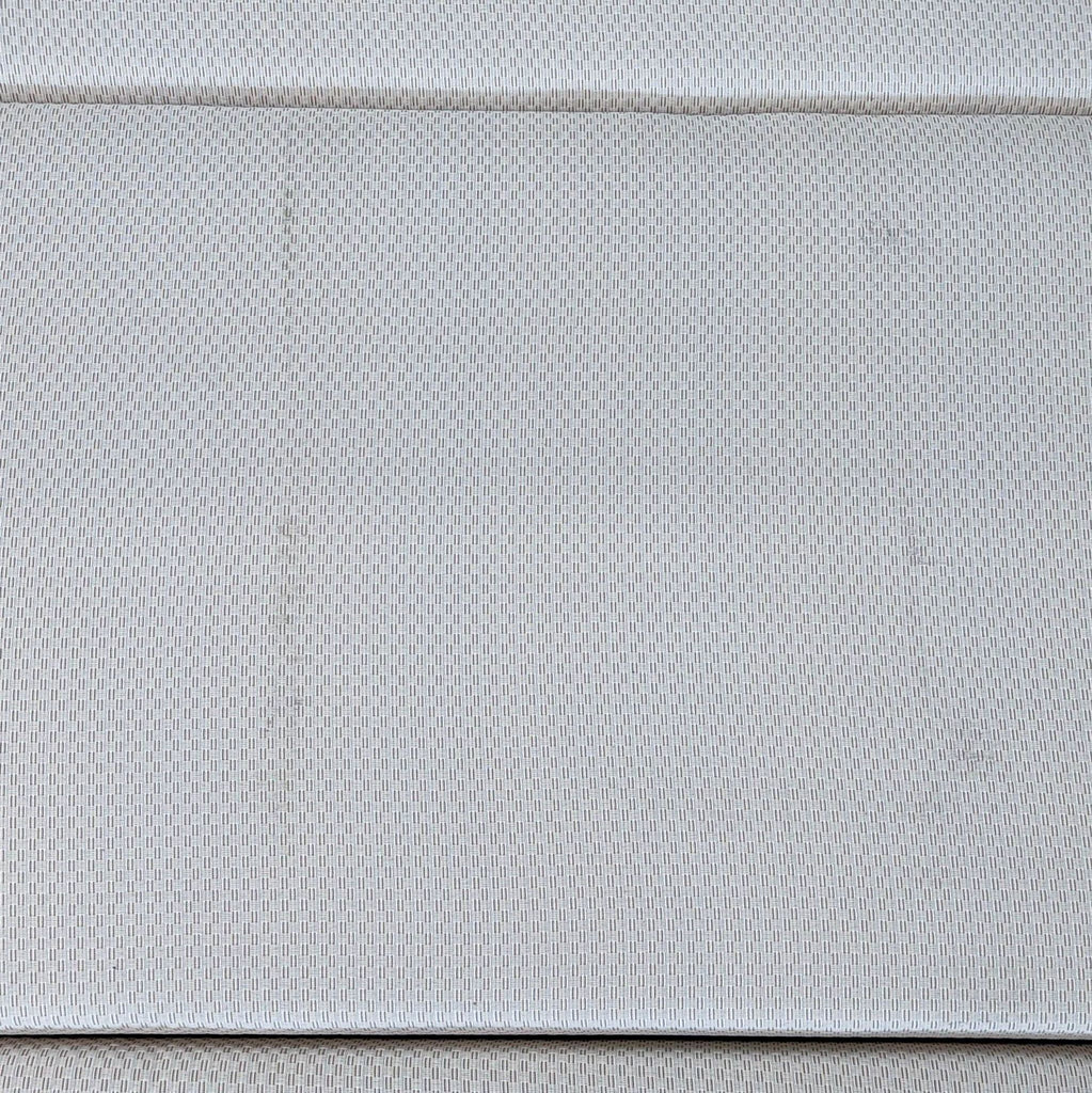 West Elm Modern Sleeper Sofa with Rolled Arms and Three Cushions