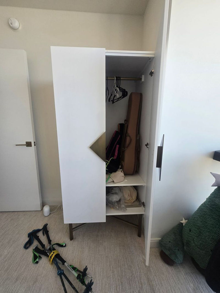 Contemporary CB2 cabinet wardrobe in a dark finish with streamlined doors and simple aesthetic.