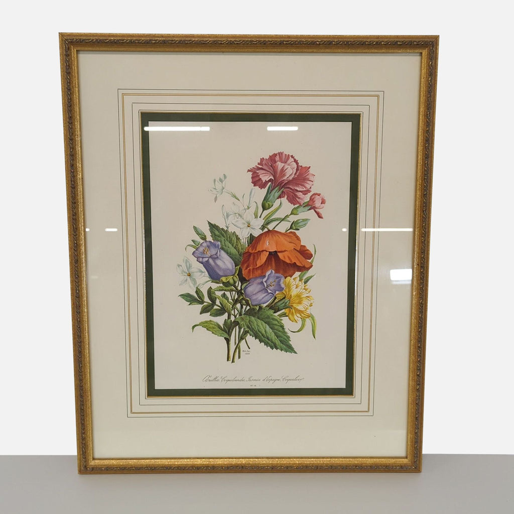 Framed Botanical Flower Print – “Coquille, Jasmin d’Espagne, Coquelico”