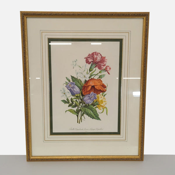 Framed botanical print of colorful coquille, jasmin d'espagne, and coquelico flowers in a gold frame.