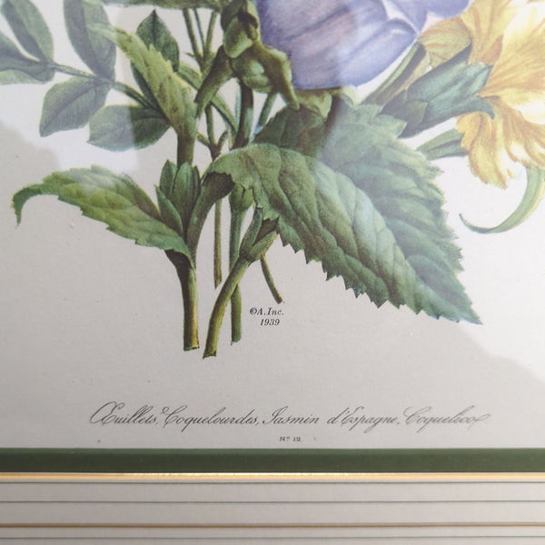Framed botanical print of colorful coquille, jasmin d'espagne, and coquelico flowers in a gold frame.
