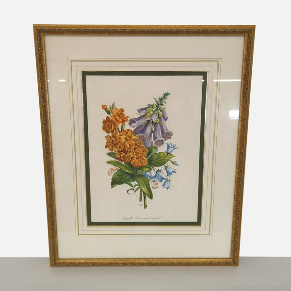 Botanical Flower Print Framed – “Giroflée, Campanules digital”