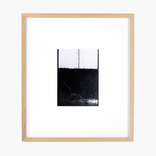 1. Minimalist black and white print of a lone tree in a natural wood frame, perfect for modern décor.  