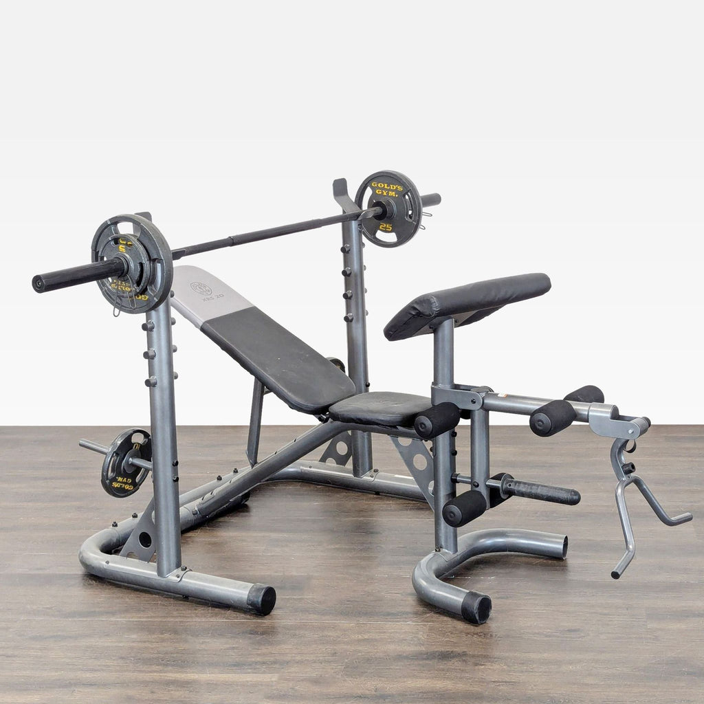 Adjustable Gold's Gym workout bench set with weights, ideal for full-body home workouts and muscle building.