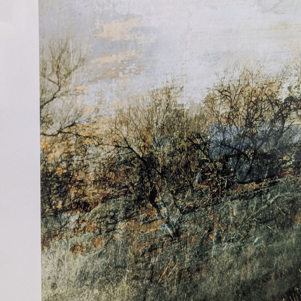 Crate & Barrel/Thea Schrack Framed Large Landscape Print Wall Art