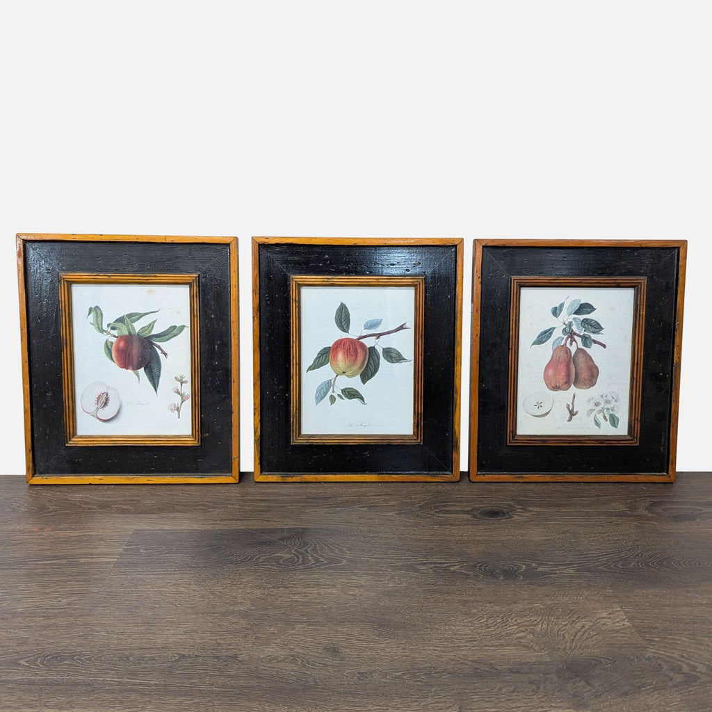 Set of three framed botanical fruit prints with peaches and pears in black and wood frames, ready to hang.  