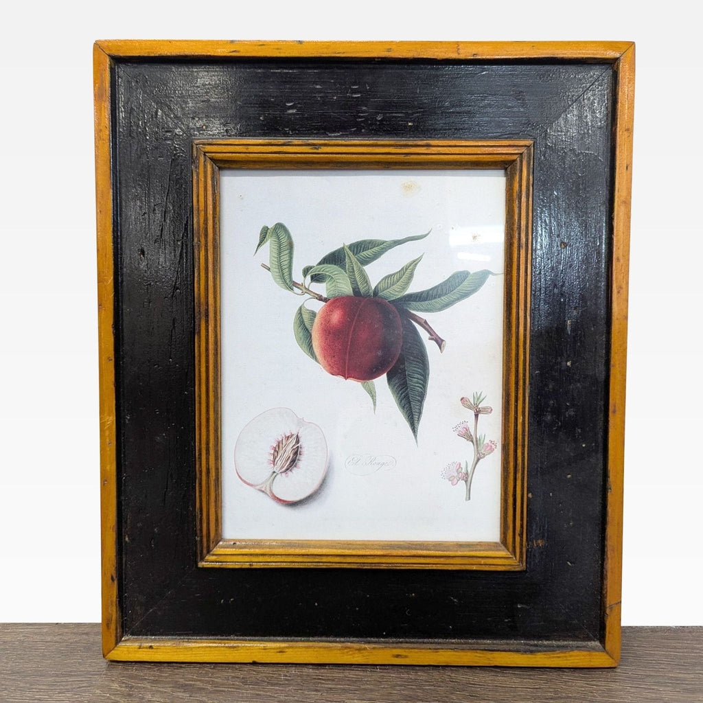 Set of 3 Framed Botanical Fruit Prints – Classic Wall Art Decor - Accepted Offer (28.57% discount)