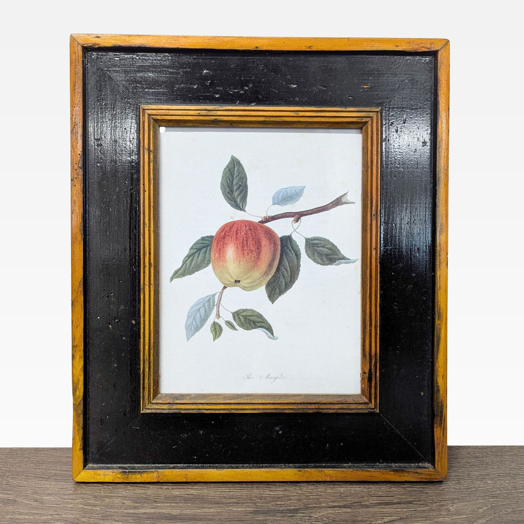 Set of 3 Framed Botanical Fruit Prints – Classic Wall Art Decor - Accepted Offer (46.43% discount)