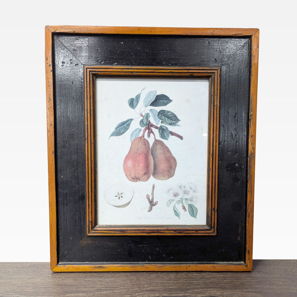 Botanical art set of three, featuring detailed peach and pear prints in sturdy, decorative black and wood frames.