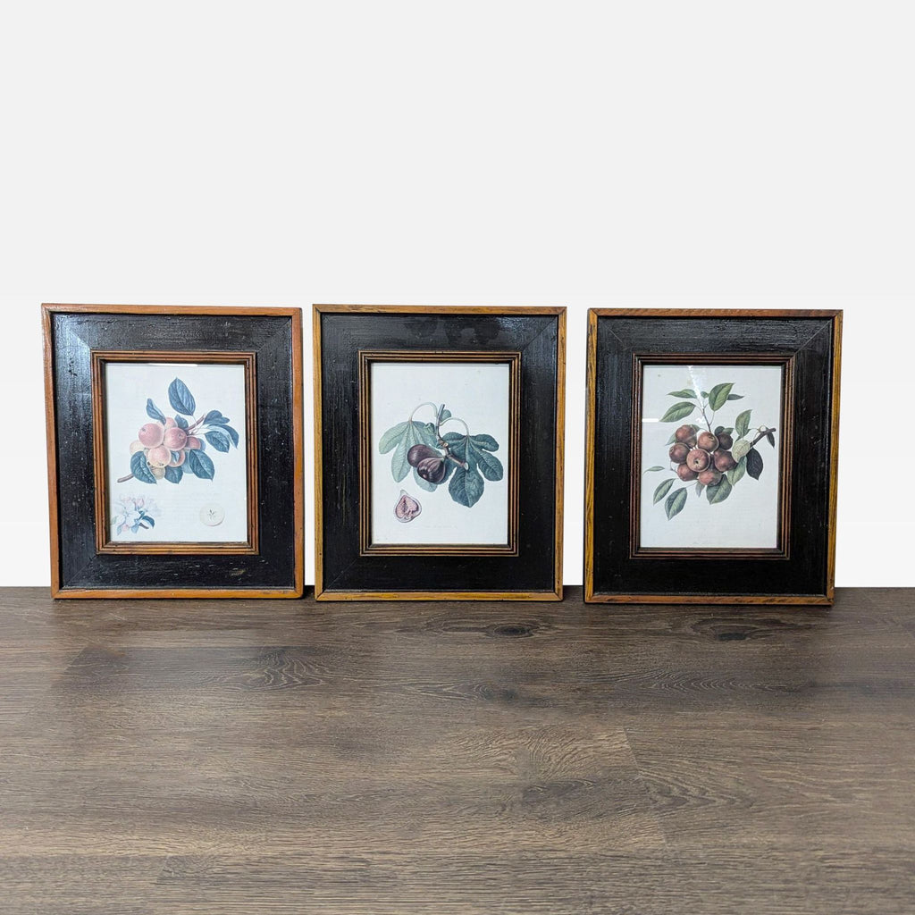 Set of three framed vintage botanical prints showing detailed fruit illustrations in matching dark wood frames.