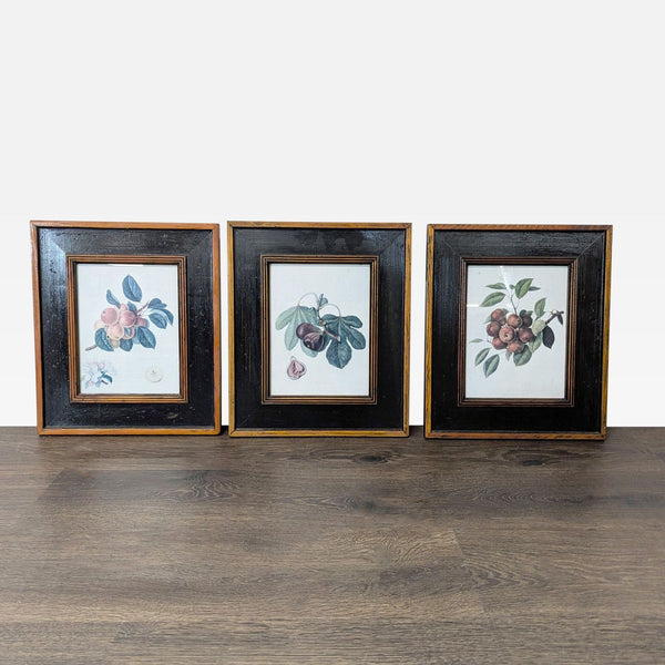 Set of 3 Framed Fruit Botanical Prints - Classic Wall Art