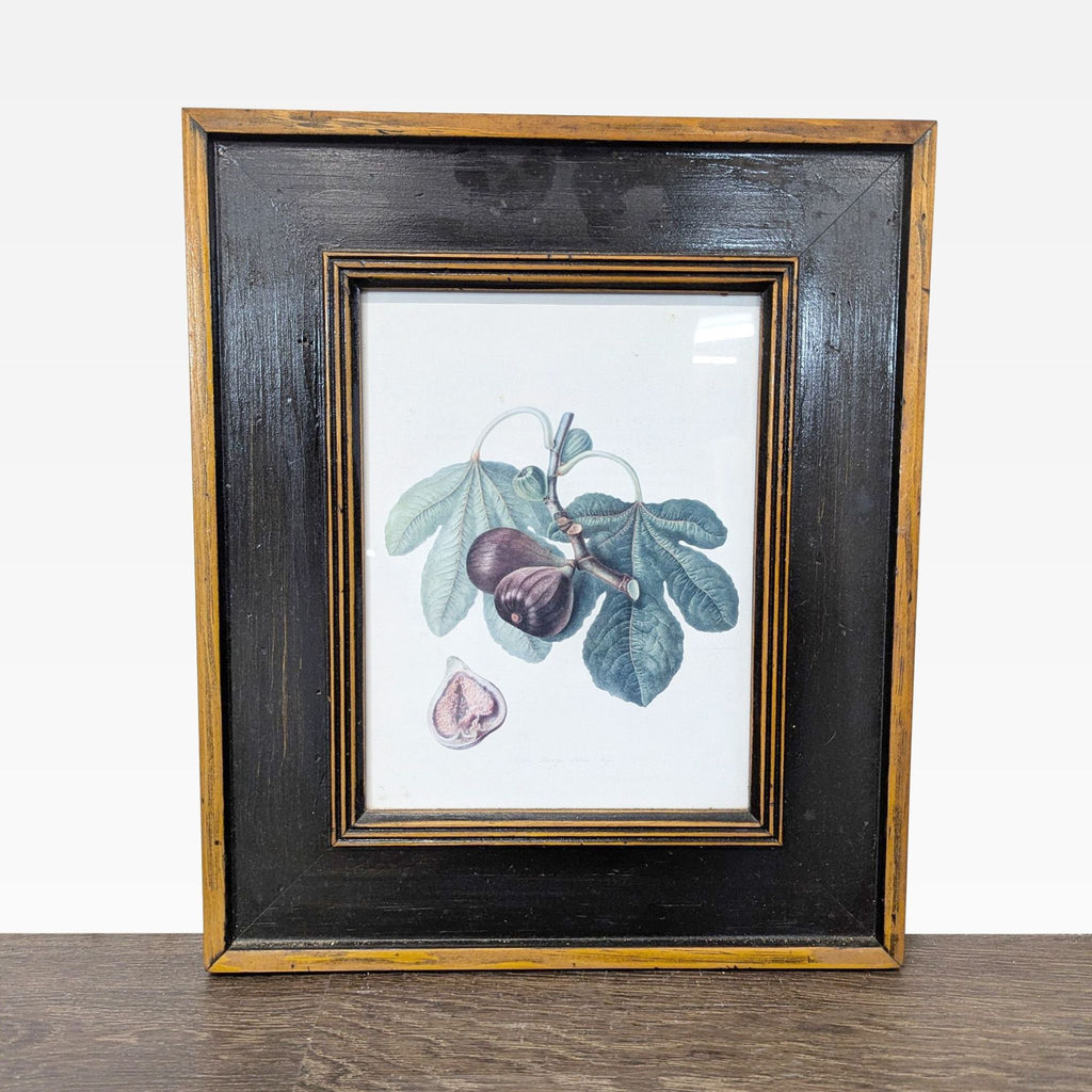 Set of 3 Framed Fruit Botanical Prints - Classic Wall Art