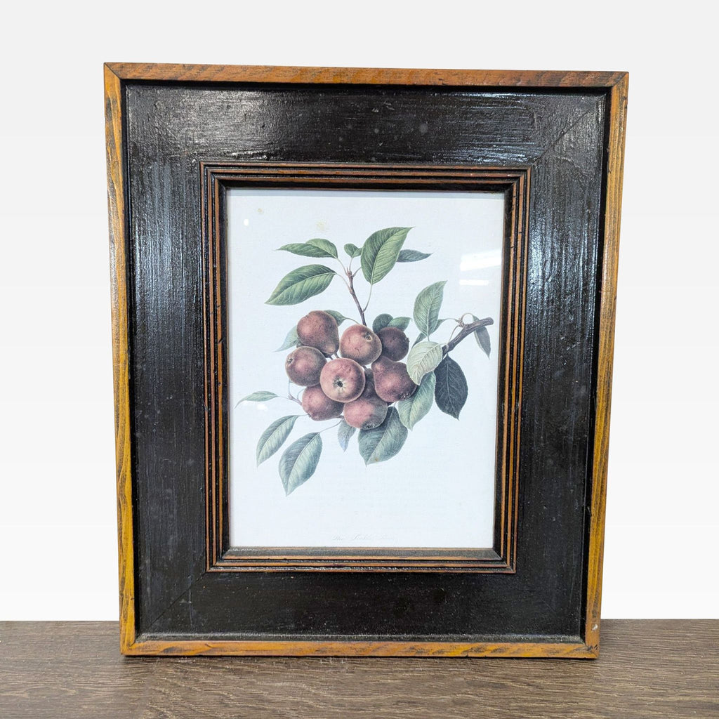 Set of 3 Framed Fruit Botanical Prints - Classic Wall Art