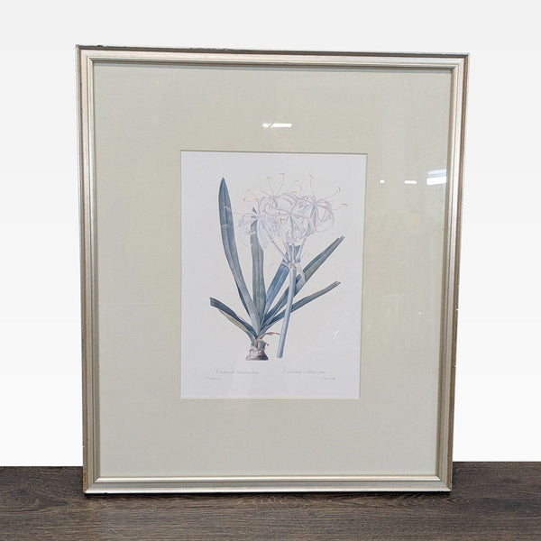 Framed Botanical Print "Crinum d'Amérique" Vintage Style Art