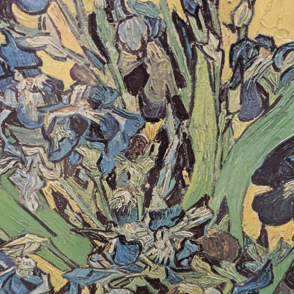 Framed Van Gogh "Irises" Art Print – Gold Frame, Prints & Maps