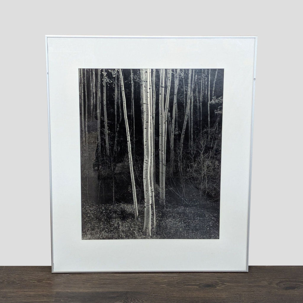 Framed black-and-white Ansel Adams print of luminous aspen trees in a shadowed forest, with white mat and silver frame.  