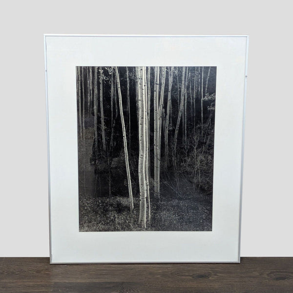 Framed black-and-white Ansel Adams print of luminous aspen trees in a shadowed forest, with white mat and silver frame.  
