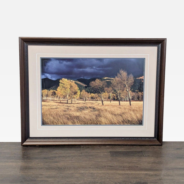 Thomas Mangelsen “Winds Of Change” Framed  Landscape Print – Trees in Field Wall Art