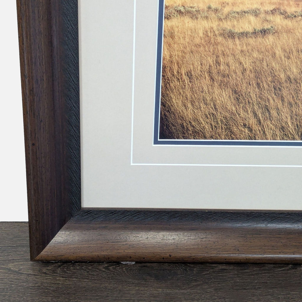 Thomas Mangelsen “Winds Of Change” Framed  Landscape Print – Trees in Field Wall Art