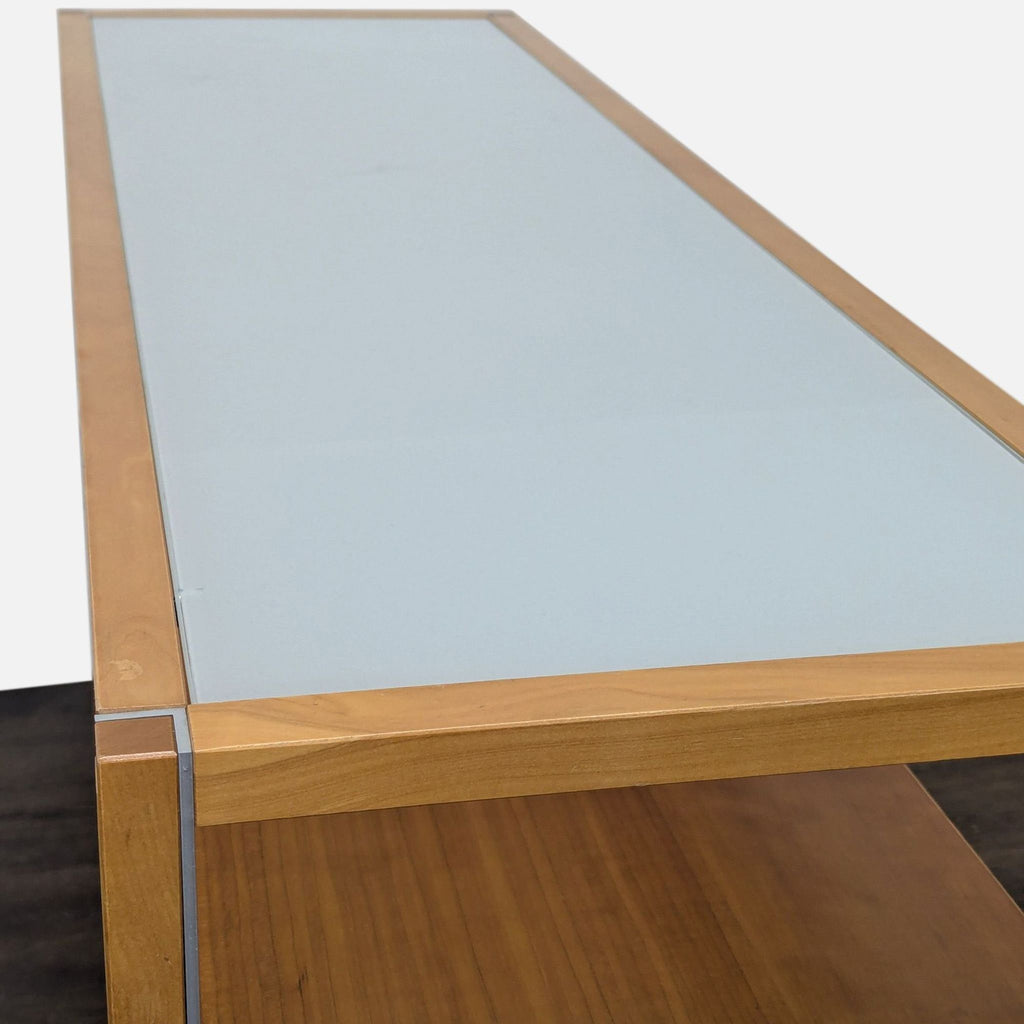 Gangso Mobler Glass and Wood Console Table
