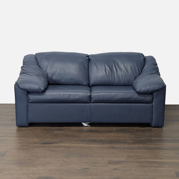 Krause's blue leather sleeper sofa with pull-out mattress for a stylish seating and bedding solution.