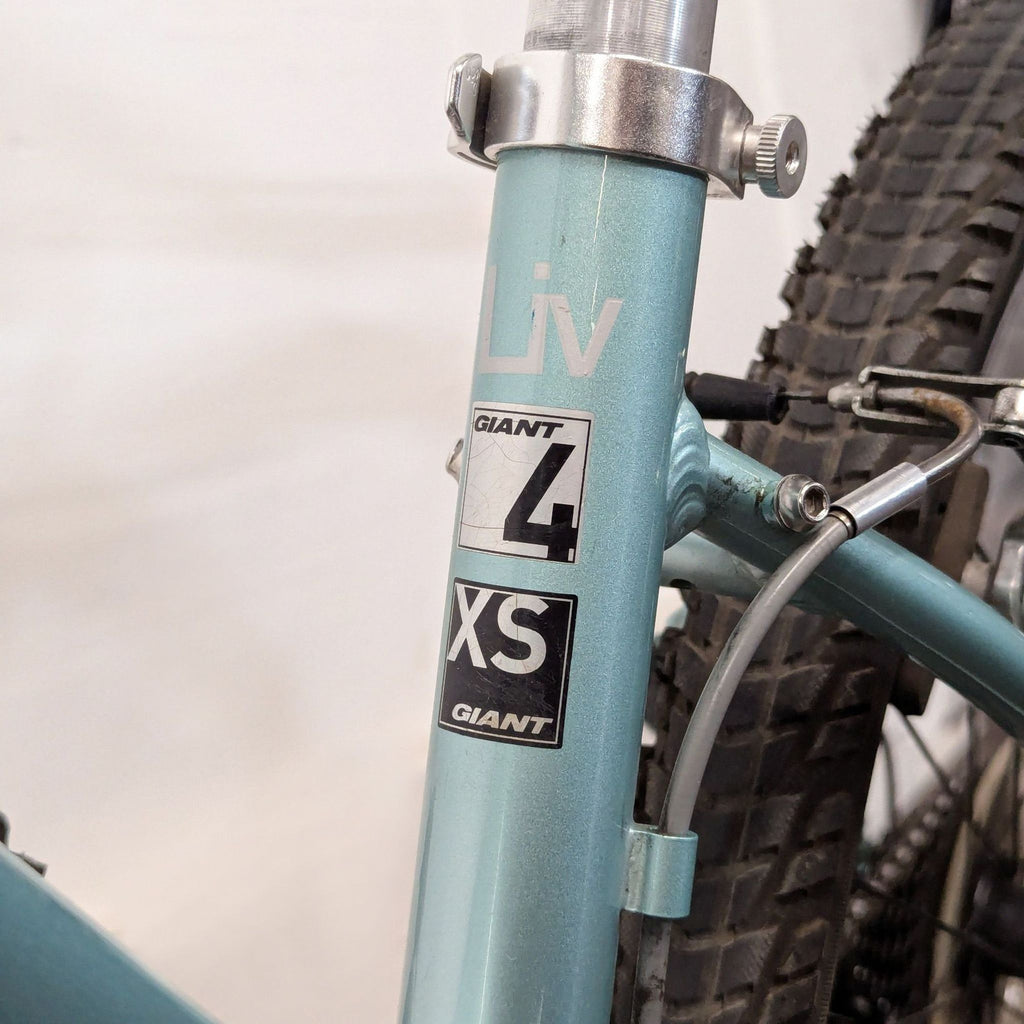 Giant Lightweight Outdoor Mountain Bike with Rear Rack
