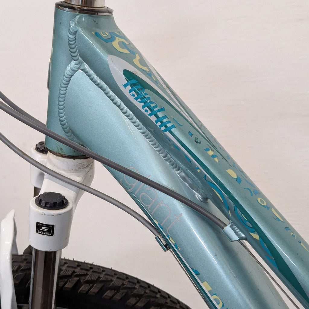Giant Lightweight Outdoor Mountain Bike with Rear Rack
