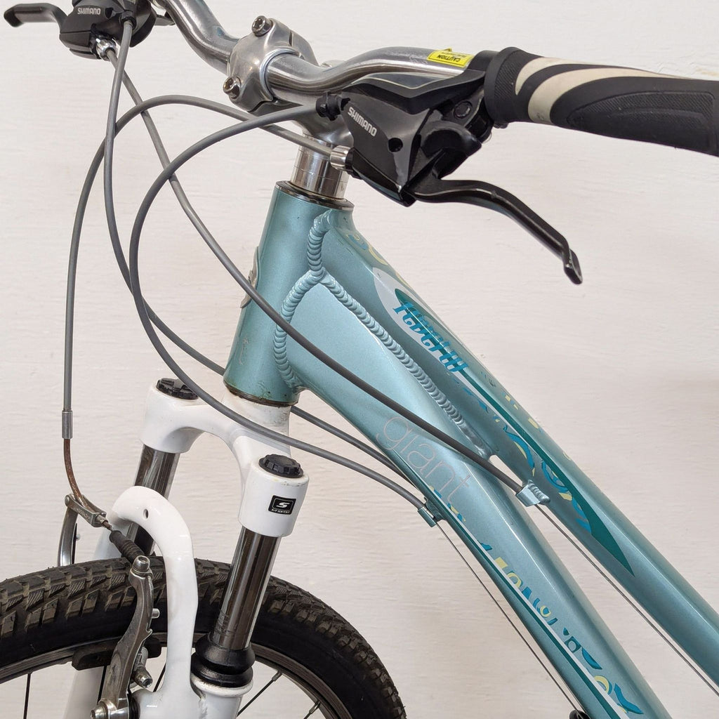 Giant Lightweight Outdoor Mountain Bike with Rear Rack