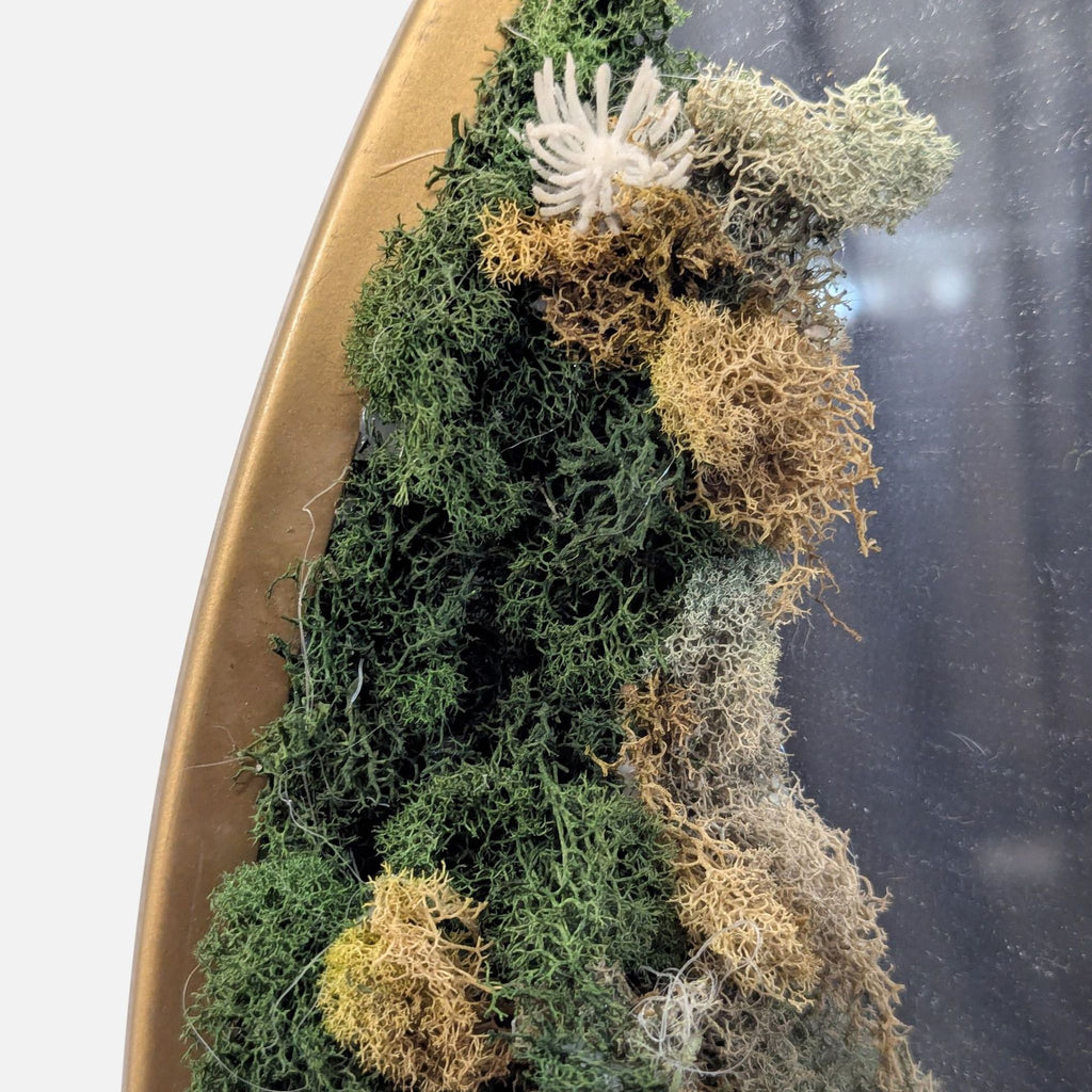 Circular Mirror with moss frame