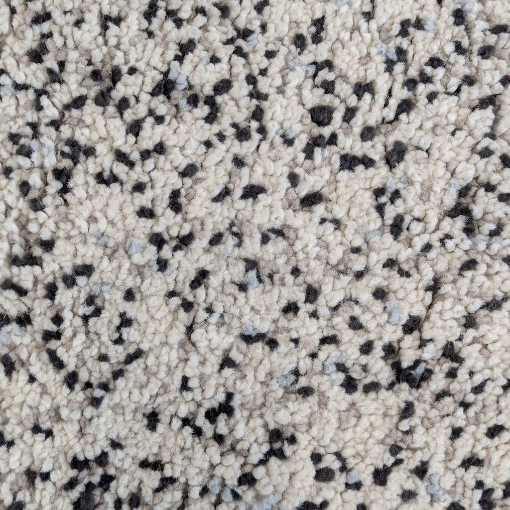 2. Close-up of Ikea rug, showing its textured white pile with gray and black speckles.