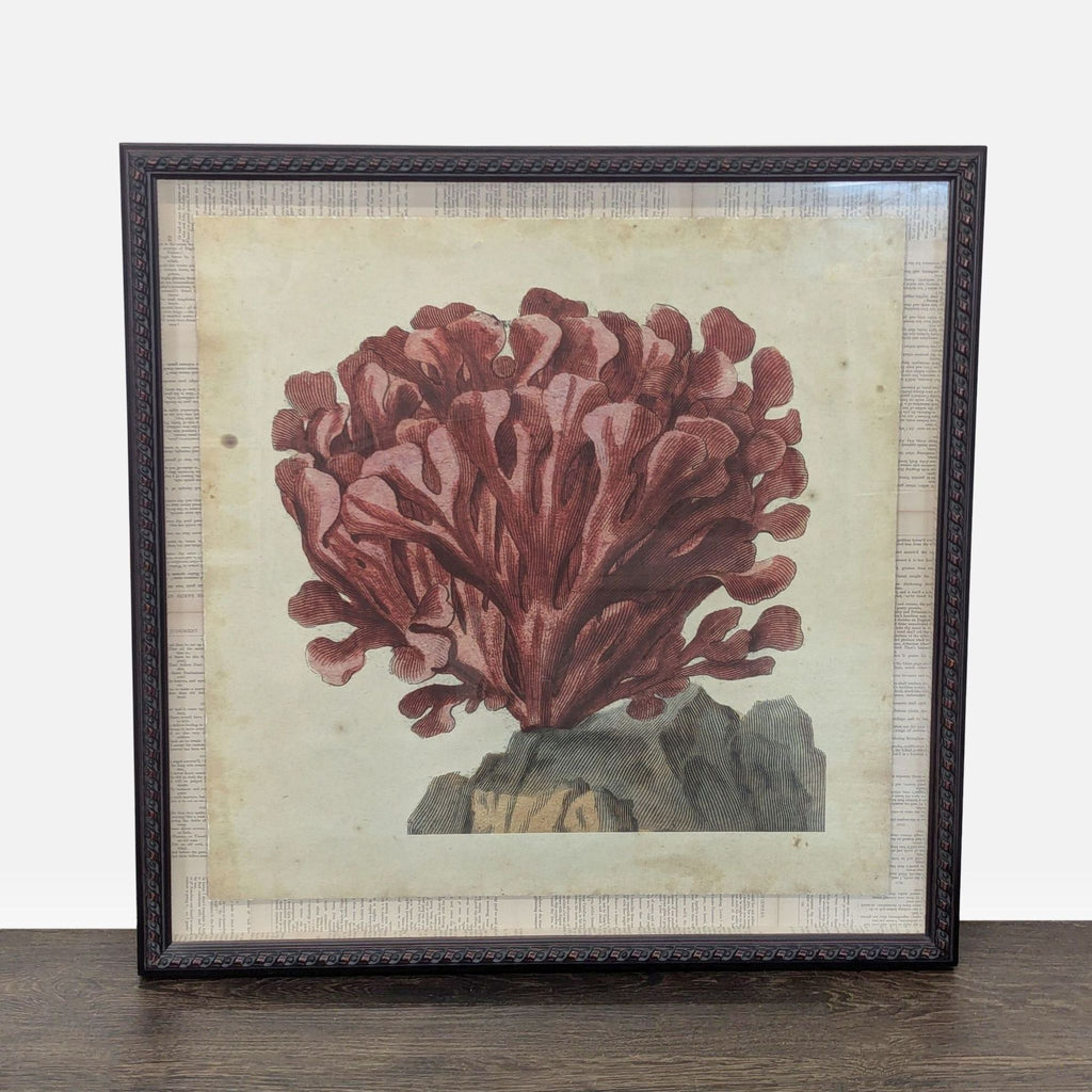 Red coral artwork styled as an antique engraving, layered over vintage book pages in a dark wood-tone frame.