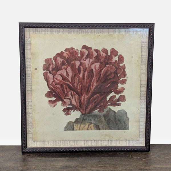 Red coral artwork styled as an antique engraving, layered over vintage book pages in a dark wood-tone frame.