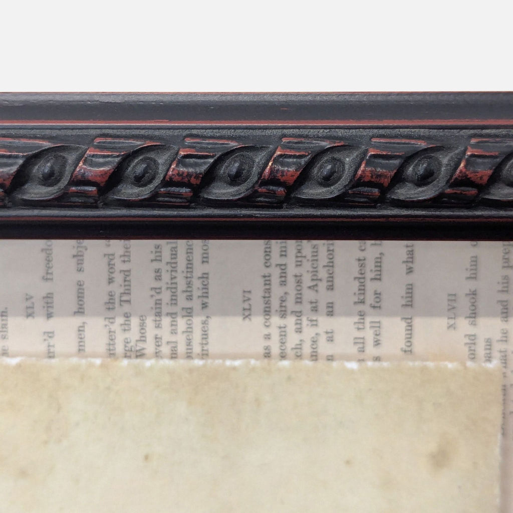 Antique-style red coral illustration on aged book pages, framed under glass with red-accented dark wood trim.