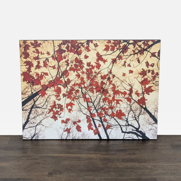 Red maple leaves by Raymond Gehman are displayed vividly against a soft sky in this framed canvas print.