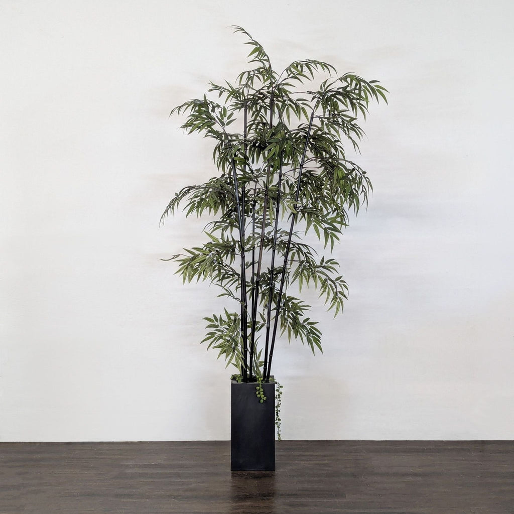 Faux Bamboo Palm in Pot